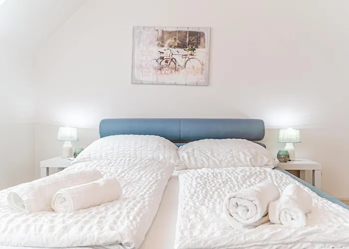 Cozy 2br Apt, Steps To Belvedere & Center Apartment *